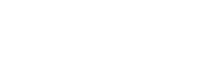 NEUFSTRUC SARLAU